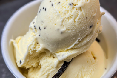 French Vanilla Ice Cream